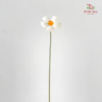 Dry Violet - White Center Orange