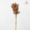 Dry Bunny Tails - Brown