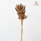 Dry Bunny Tails - Brown