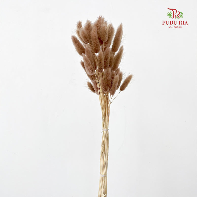 Dry Bunny Tails - Brown