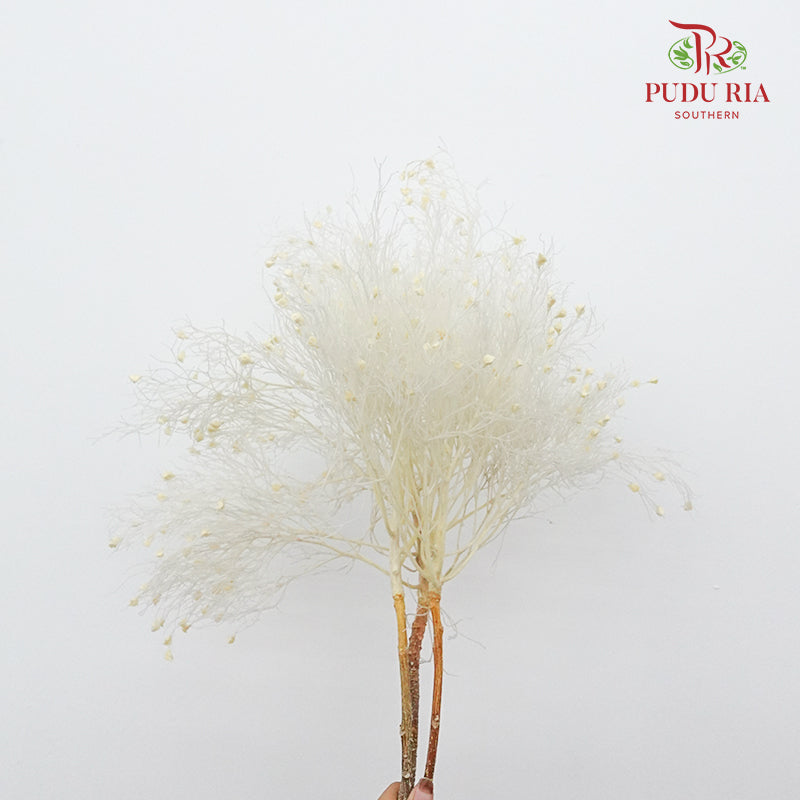 Dry Dream Grass White - Pudu Ria Florist Southern
