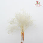 Dry Dream Grass White - Pudu Ria Florist Southern