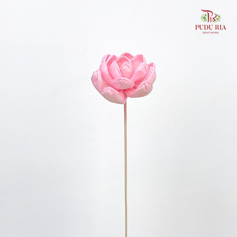 Dry Sola Wood Lotus Soft Pink - 5 Stems