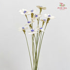 Dry Violet Love Shape - Center Purple