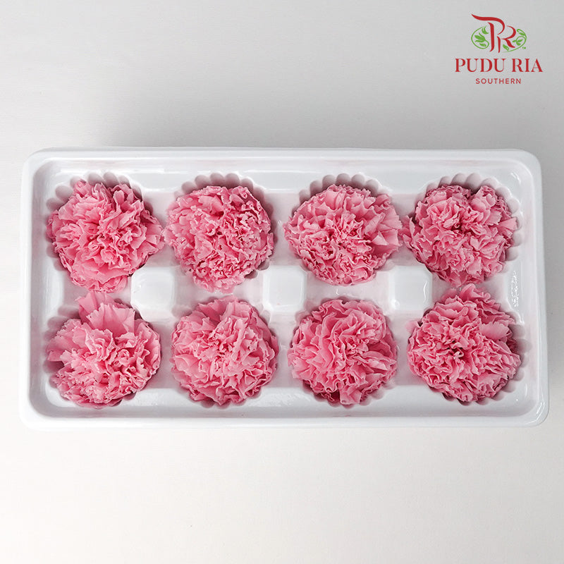 8 Bloom Carnation - Dark Pink - Pudu Ria Florist Southern