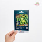 Flowers & Herbs Seeds