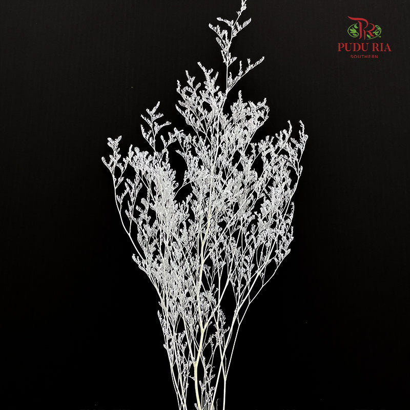 Dry Caspia - White
