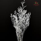 Dry Caspia - White