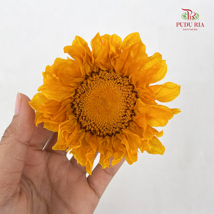 3 Bloom Preservative Sunflower