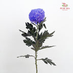 Peony Chrysanthemum Dyed Purple 牡丹菊 - (5 Stems)