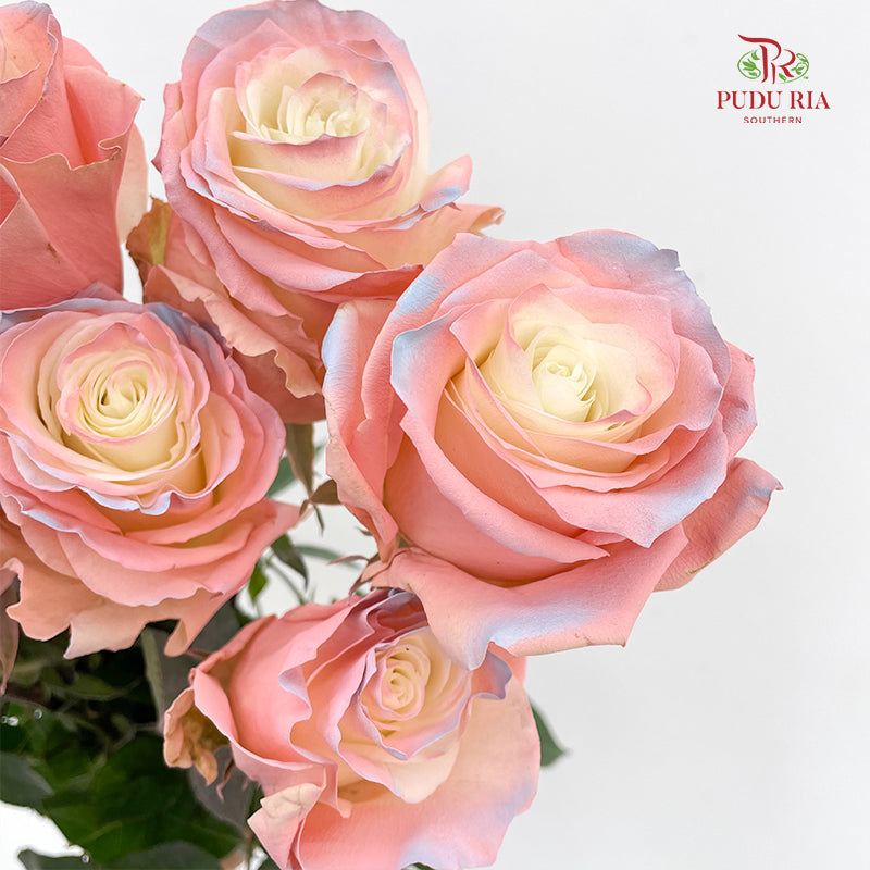 Rose Mondial Dyed Cute Star 2 - (8-10 Stems)