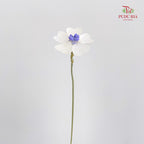 Dry Violet Love Shape - Center Purple