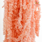 Preservative Amaranthus Pink - Pudu Ria Florist Southern