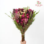 Safari Mix Cone / Cape Cone (2) - (Per Bundle)