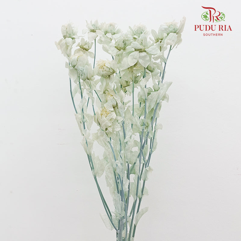 Dry Safflower - Soft Mint