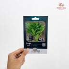 Flowers & Herbs Seeds