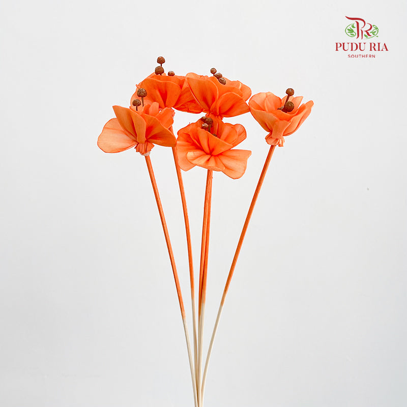 Dry Small Pomegranate Flower - Orange