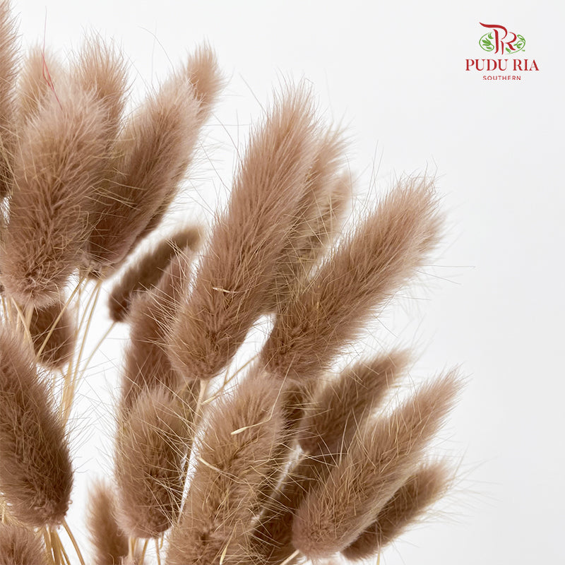 Dry Bunny Tails - Brown