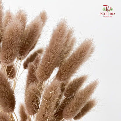 Dry Bunny Tails - Brown