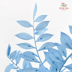 Dry Ruscus Dyed - Light Blue