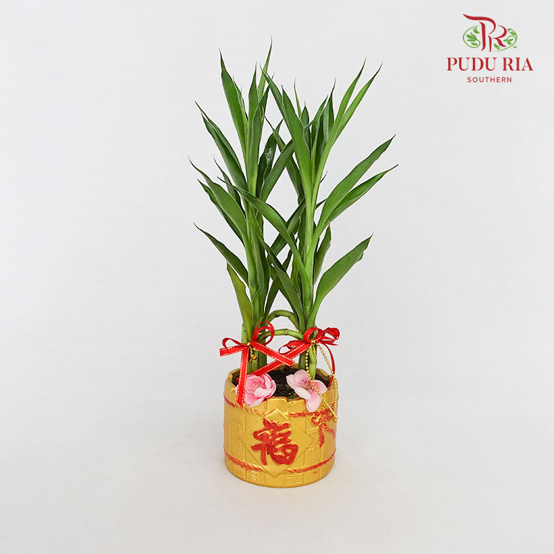 CNY Potted Plant Arrangement 2024#15