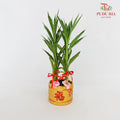 CNY Potted Plant Arrangement 2024#15