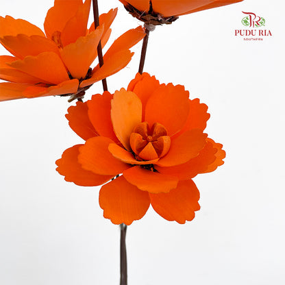 Dry Wood Peony Orange - 4 Stems