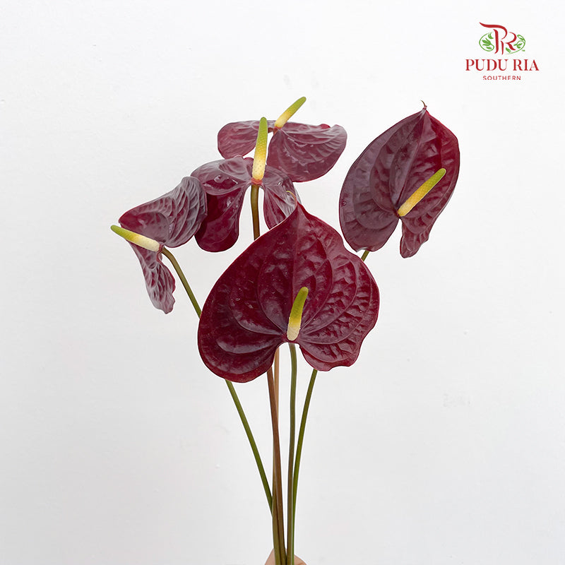 Anthurium Dark Red 火鹤花 - (5 Stems)