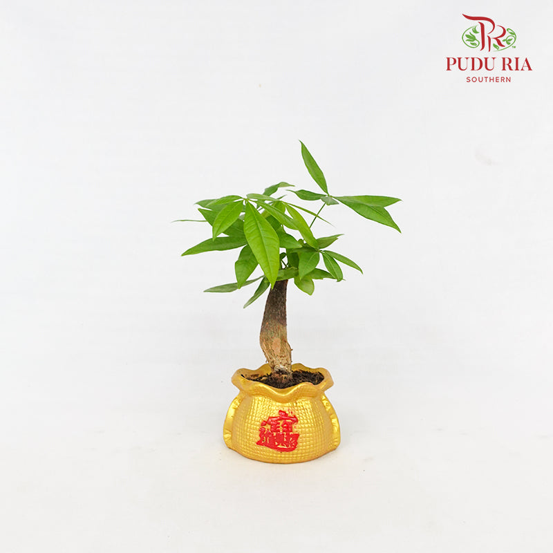 CNY Potted Plant Arrangement 2024#22