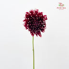 Dahlia Red - (Per Bundle)