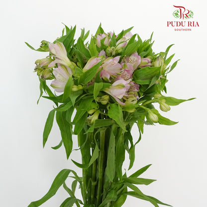 Alstroemeria Light Pink (9-10 Stems) - Pudu Ria Florist Southern