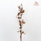 Artificial Cotton Flower - Per Stem