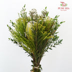 Safari Mix (Premium 5) - Pudu Ria Florist Southern