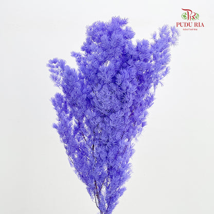 Preservative Asparagus Fern Purple