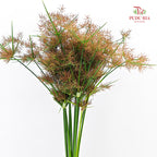 Nutsedge