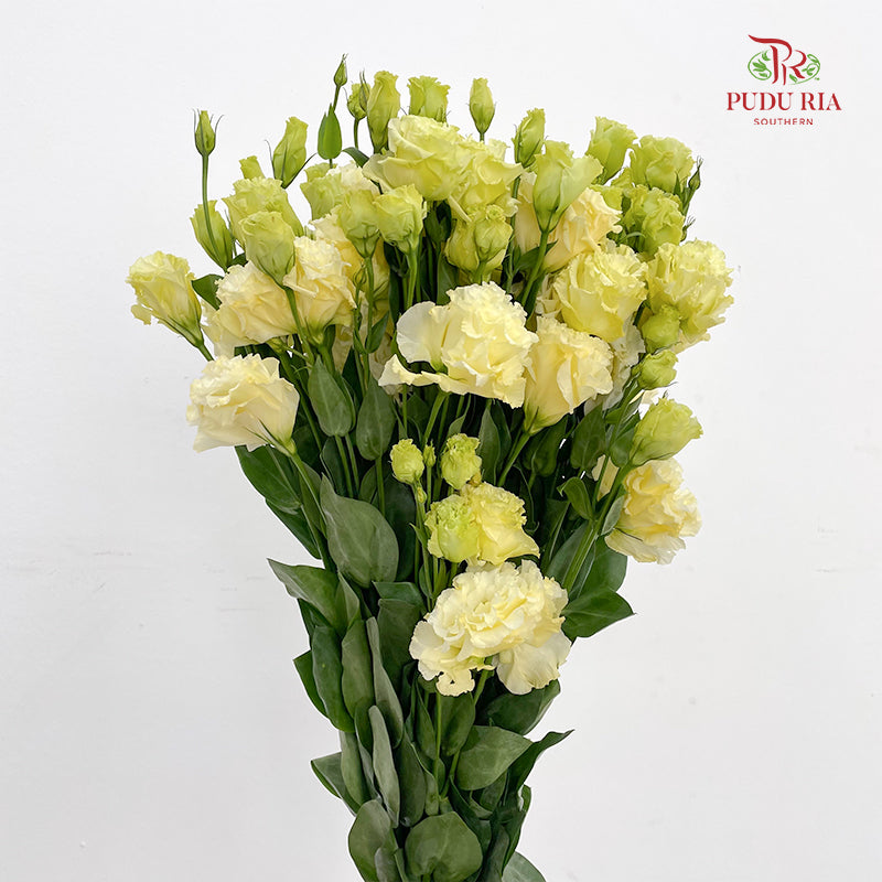Eustoma Wave Yellow - (12-15 Stems)
