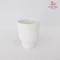 Medium Asst Pot - White - Pudu Ria Florist Southern