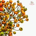 Rosa Canina Small - (Per Bundle)