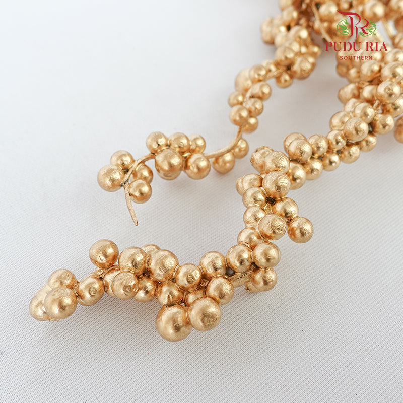 5' U Clump Ilex 35-40cm Gold