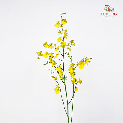 Dancing Lady Yellow Lips (XL) - (Per Bundle)