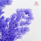 Preservative Asparagus Fern Purple