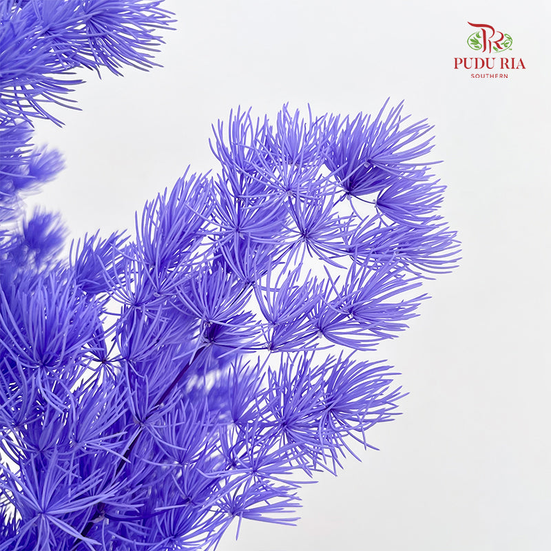 Preservative Asparagus Fern Purple