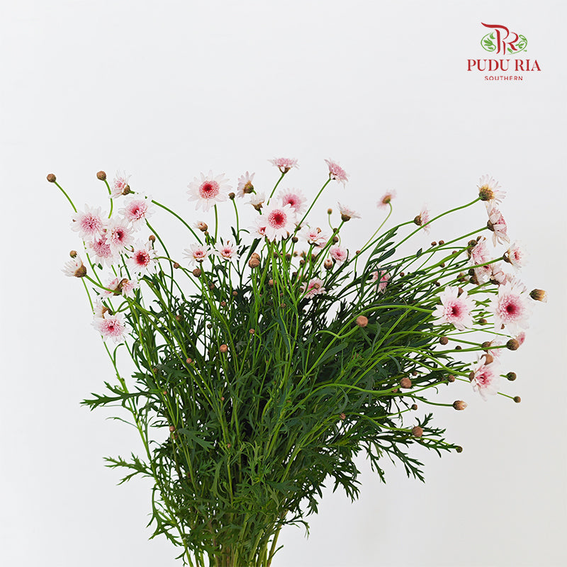 Margaret Flower - (Per Bundle)