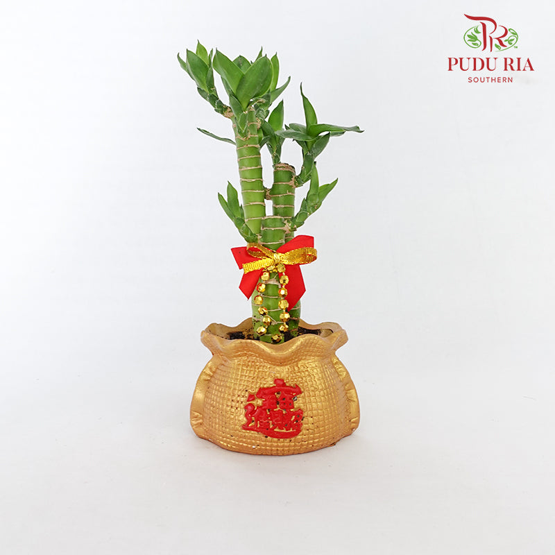 CNY Potted Plant Arrangement 2024#4