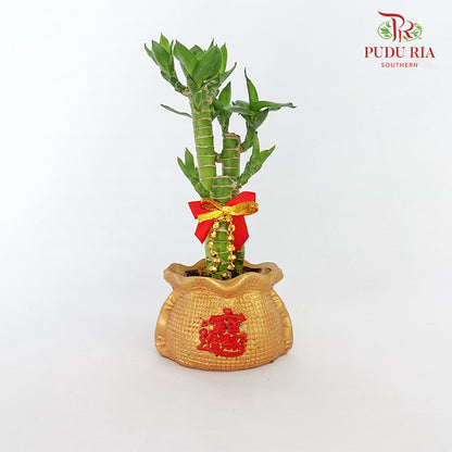 CNY Potted Plant Arrangement 2024#4