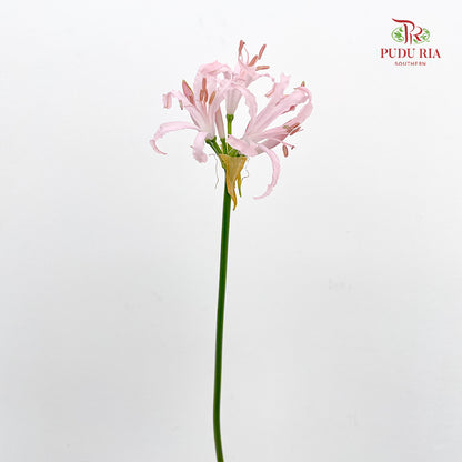 Nerine - (2 Stems)
