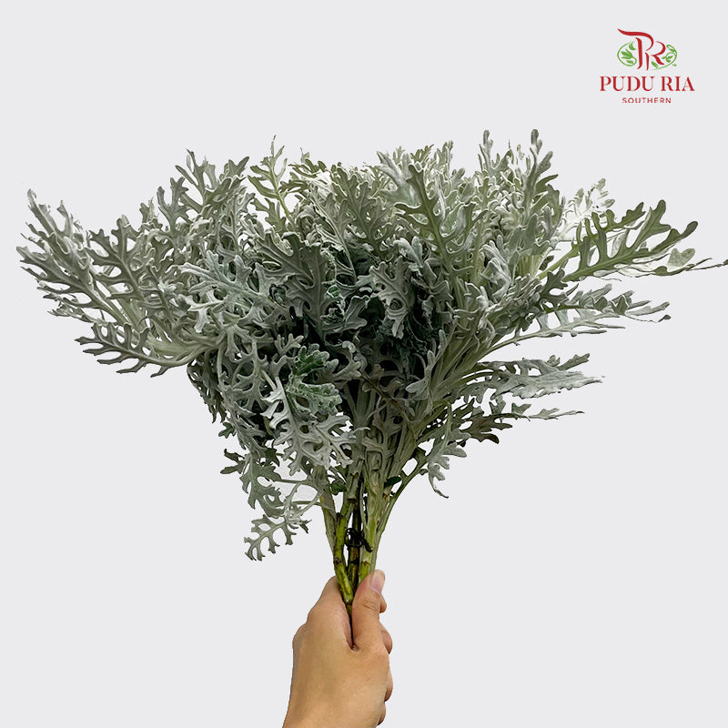 Silver Leaf - (Per Bundle)