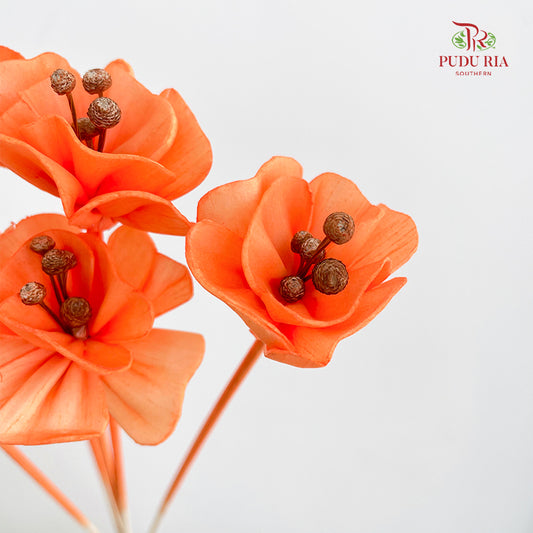 Dry Small Pomegranate Flower - Orange
