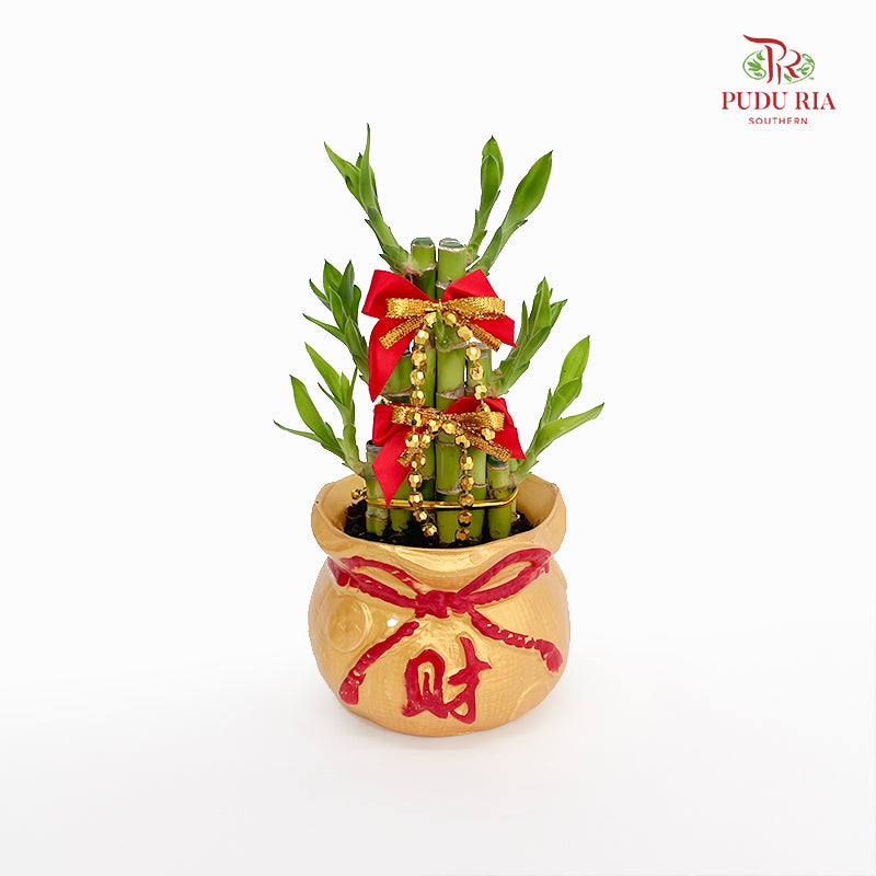 CNY Potted Plant Arrangement 2025#3