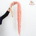 Preservative Amaranthus Pink - Pudu Ria Florist Southern